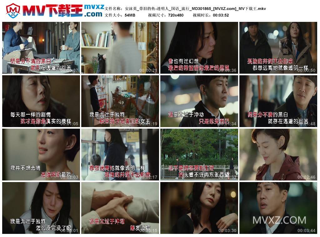 安沫英_带泪的鱼-透明人_国语_流行_MD301865